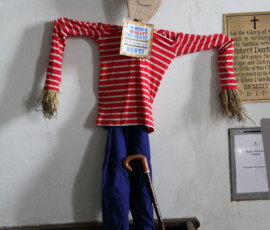stm-013