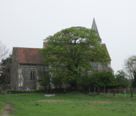 stmary0011